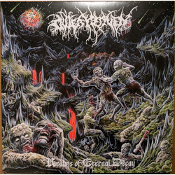 Outer Heaven (2) Realms Of Eternal Decay Vinyl LP