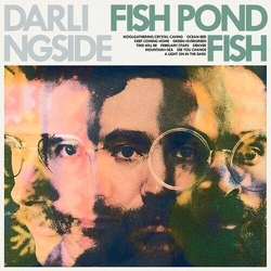 Darlingside Fish Pond Fish Vinyl