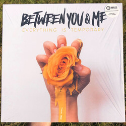 Between You and Me Everything Is Temporary Vinyl LP