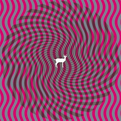 Deerhunter Cryptograms / Fluorescent Grey Vinyl 2 LP