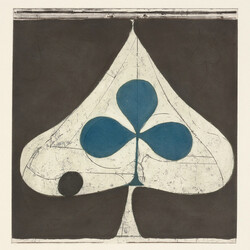 Grizzly Bear Shields Vinyl 2 LP