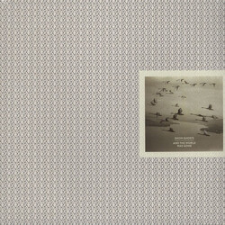 Snow Ghosts And The World Was Gone Vinyl