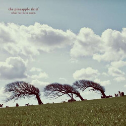 The Pineapple Thief What We Have Sown Vinyl 2 LP