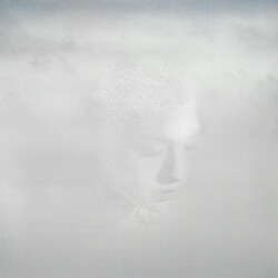 The Receiver All Burn Vinyl LP