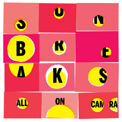 Sun Breaks All On Camera Vinyl