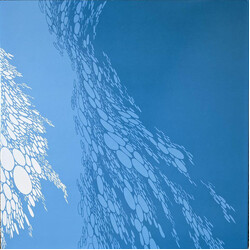 Boris (3) Flood Vinyl 2 LP