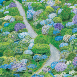 Fiddlehead (2) Between The Richness Vinyl LP