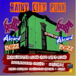 Various Artists Various Artists -Rainy City Punks (Manchester Punk And Post Punk Vinyl