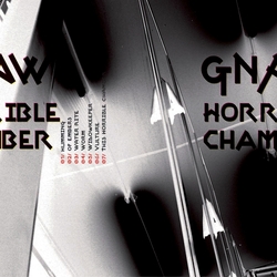 Gnaw Horrible Chamber -Ltd- Vinyl