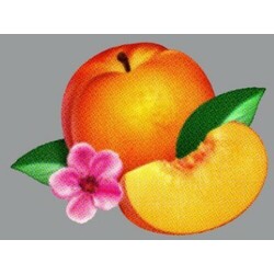 Phoenix Bankrupt! Vinyl