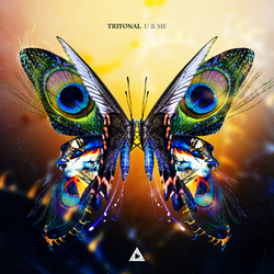 Tritonal U & Me Vinyl 2 LP