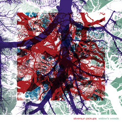 Silversun Pickups Widow's Weeds Vinyl