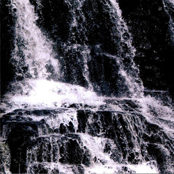 Celestiial Where Life Springs Eternal CD