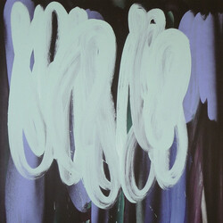 FP-Oner 6 Vinyl 2 LP