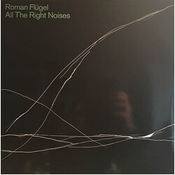 Roman Flügel All The Right Noises