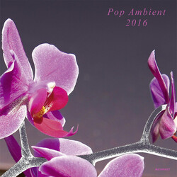 Various Pop Ambient 2016 Multi Vinyl LP/CD