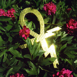 Temples (4) Paraphernalia Vinyl