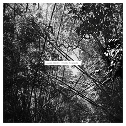 Andrew Pekler Tristes Tropiques
