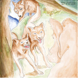 Bonnie "Prince" Billy Wolf Of The Cosmos Vinyl LP