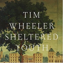 Tim Wheeler 7-Sheltered Youth Vinyl