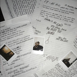 Xxxtentacion 17 Vinyl