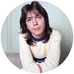 David Cassidy I Think I Love You -.. Vinyl