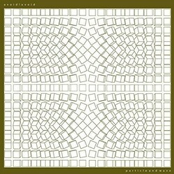 avoid!avoid Particle And Wave Vinyl LP