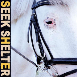 Iceage Seek Shelter VINYL LP