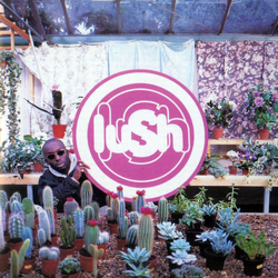 Lush Lovelife VINYL LP