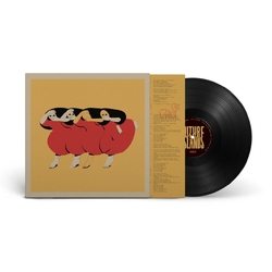Future Islands People Who Aren’T There Anymore VINYL LP