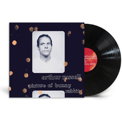 Arthur Russell Picture Of Bunny Rabbit VINYL LP
