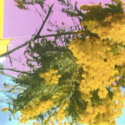 Four Tet Into Dust (Still Falling) VINYL LP