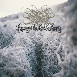 Signs Of The Swarm Amongst The Low & Empty (Blk) (Gate) (Ger) VINYL LP