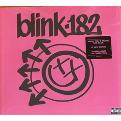 Blink 182-One More Time... VINYL LP