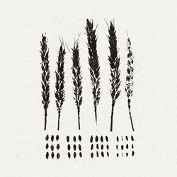 Lo! Gleaners (Uk) VINYL LP