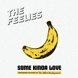 The Feelies Some Kinda Love: Performing The Music Of The V VINYL LP