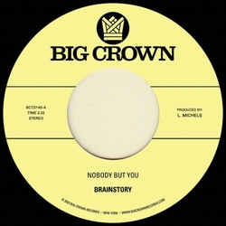 Brainstory-Nobody But You B W Gift Of Life VINYL LP