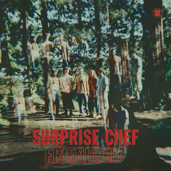 Surprise Chef Friendship VINYL LP