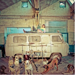 Usé Chien D'La Casse Vinyl LP