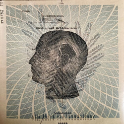 The Third Eye Foundation Wake the Dead Vinyl LP