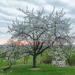 Orchard (8) Serendipity Vinyl 2 LP