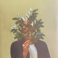 FKJ (French Kiwi Juice) French Kiwi Juice
