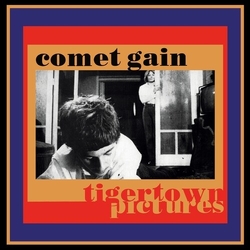 Comet Gain Tigertown Pictures VINYL LP