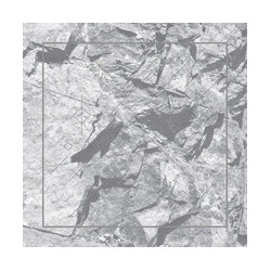 Ricardo Donoso Deterrence Vinyl LP