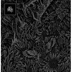 The Moth (4) And Then Rise