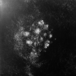 Saffronkeira Synecdoche Vinyl 2 LP