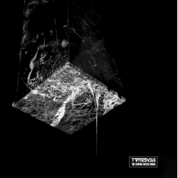Twinesuns Empire Never Ended Vinyl
