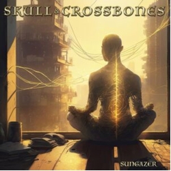 Skull & Crossbones Sungazer VINYL LP