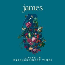 James Living In Extraordinary Times Vinyl