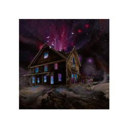 Ancestors Suspended In Reflections Vinyl